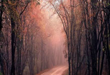 壮观对决！双方拼尽全力，比赛将是一场硬仗