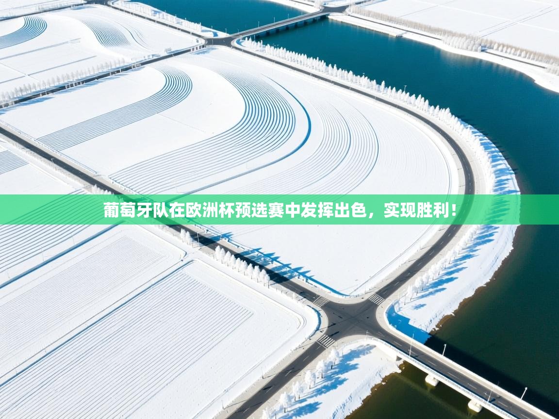 葡萄牙队在欧洲杯预选赛中发挥出色，实现胜利！