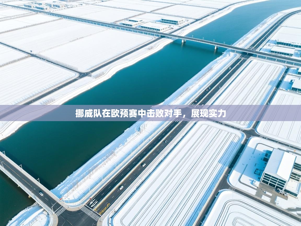 挪威队在欧预赛中击败对手，展现实力