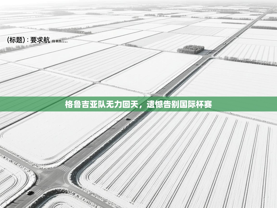 格鲁吉亚队无力回天，遗憾告别国际杯赛